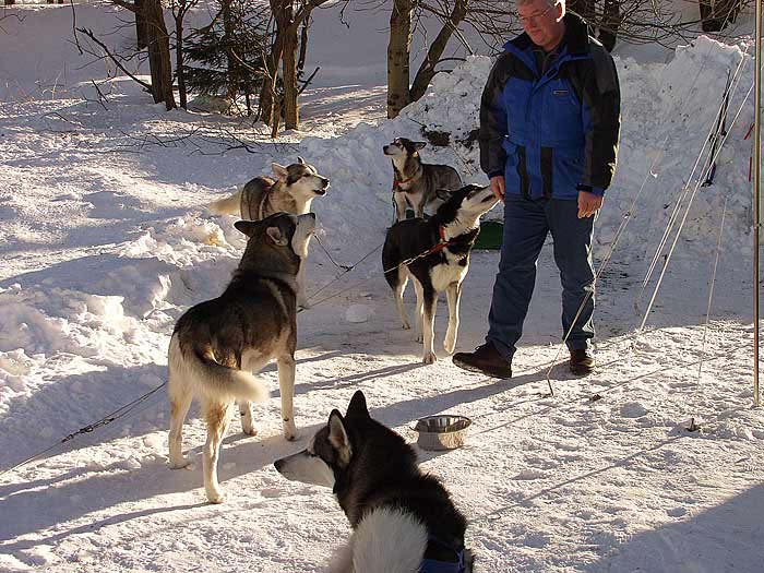 2003 schlittenhunde022.jpg